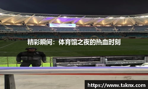 精彩瞬间：体育馆之夜的热血时刻